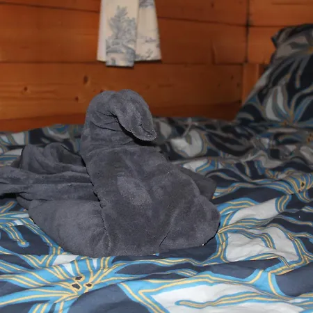 Luxury tent Domaine Du Temps Retrouve Beaupouyet